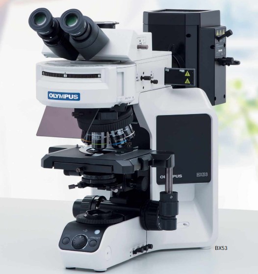 荧光显微镜标本制作规程