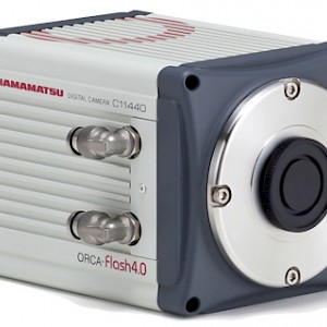 ORCA-Flash4.0高灵敏度相机
