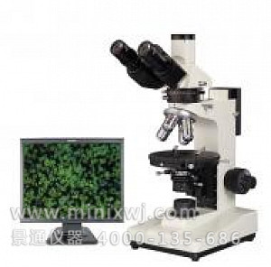 XP-500大视野透射偏光显微镜