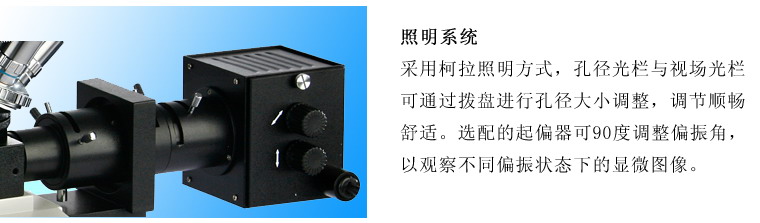 XJL-17AT倒置金相显微镜