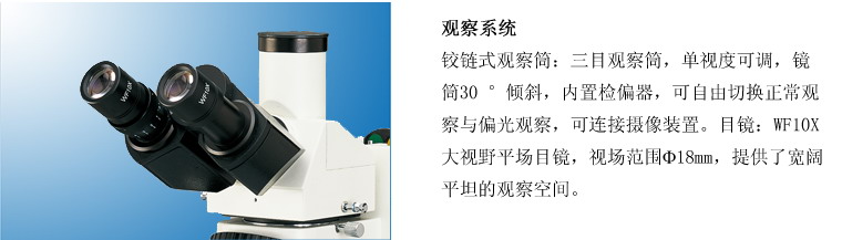53X大型平台正置金相显微镜