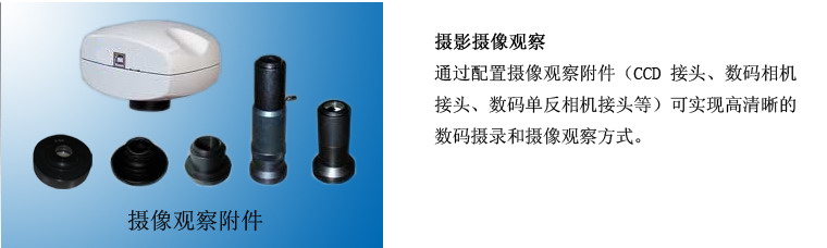 53X大型平台正置金相显微镜
