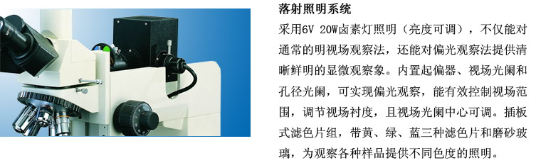 53X大型平台正置金相显微镜