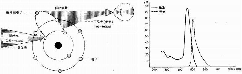 荧光显微镜原理、光源和光路