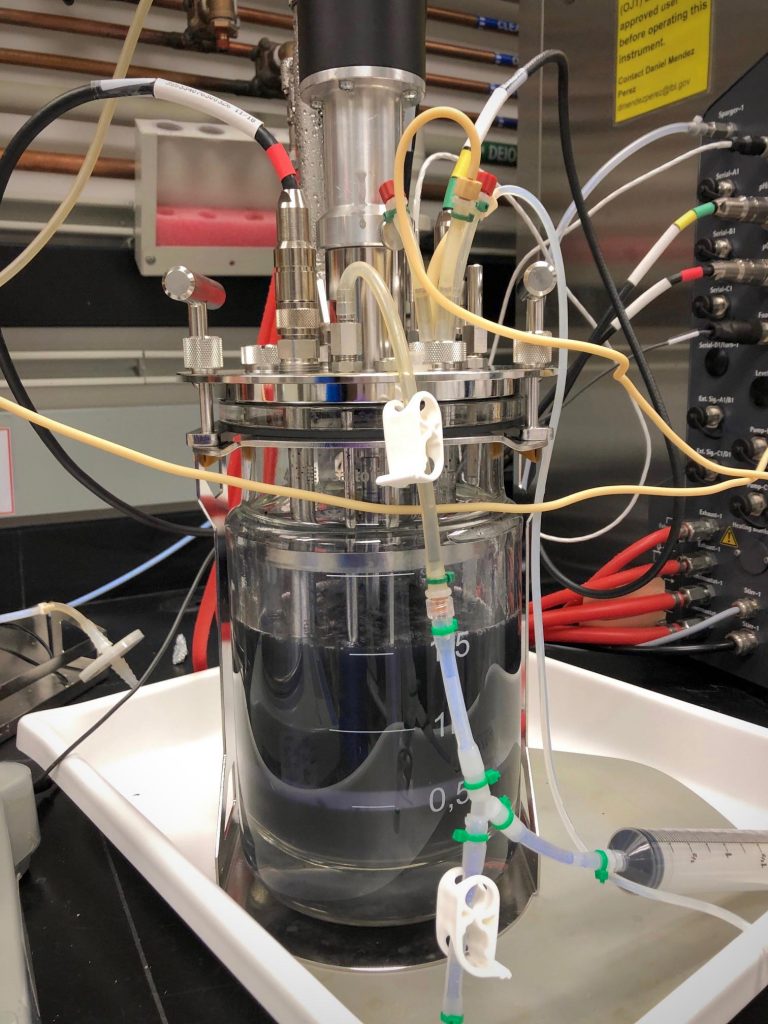 显示蓝色靛蓝的生物反应器