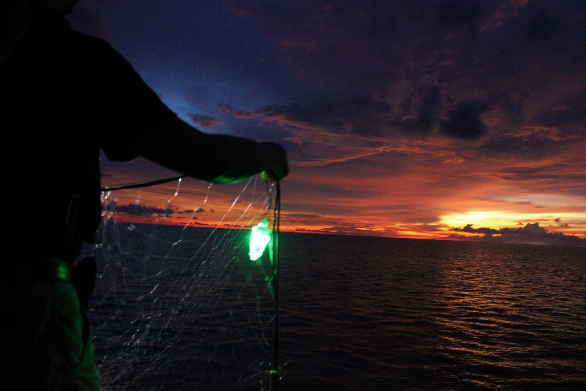 照明渔网